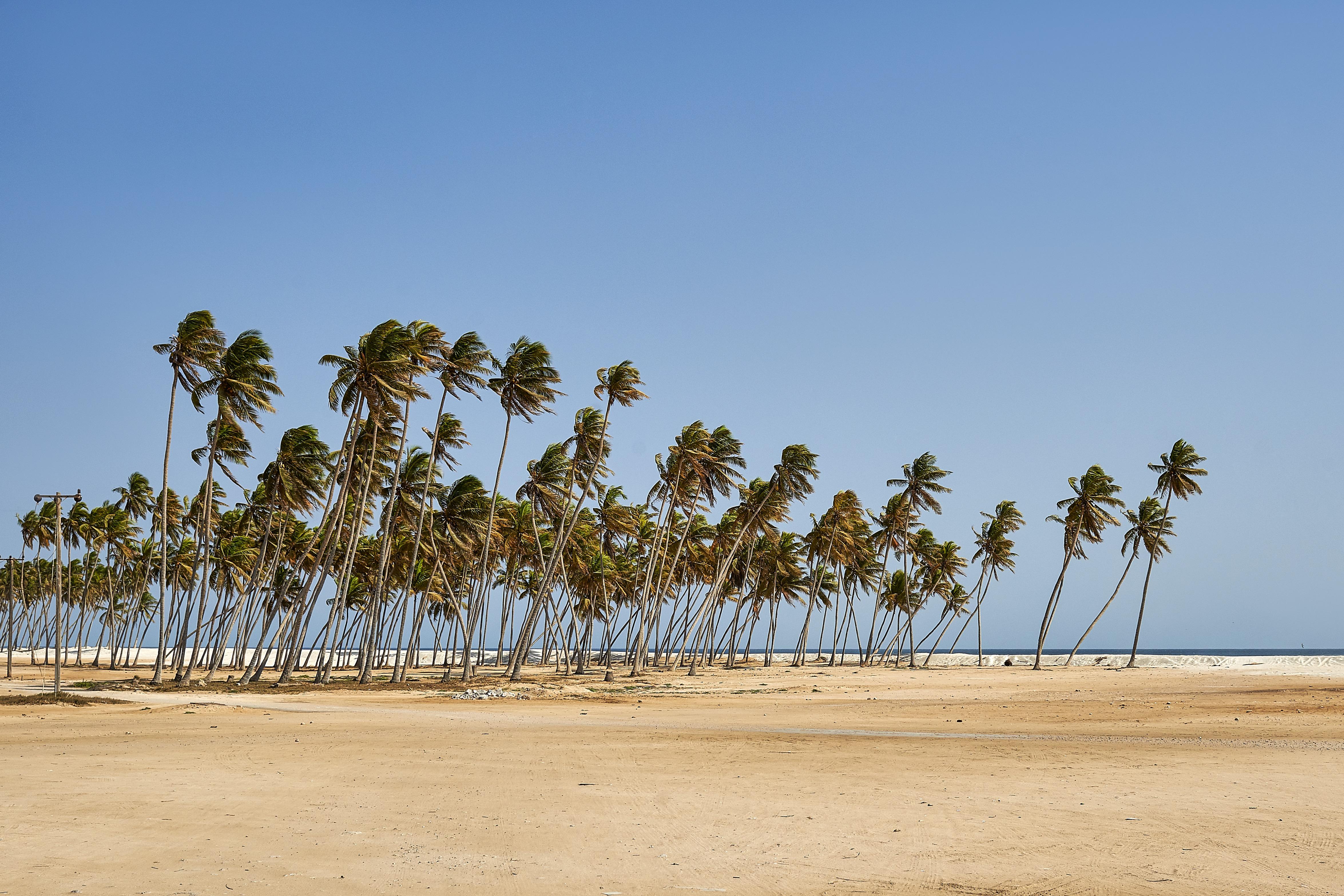 Salalah Gardens Hotel Bagian luar foto